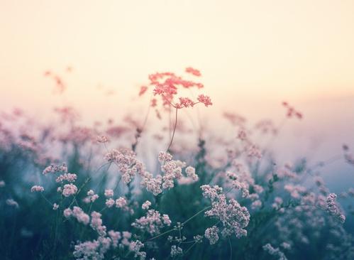 安徽财经大学考研资料大全_历年考研真题汇编+内部笔记+专业课推荐参考书目