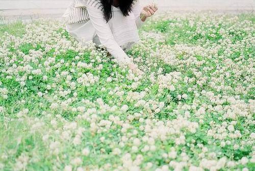 欢迎使用Z-BlogPHP！