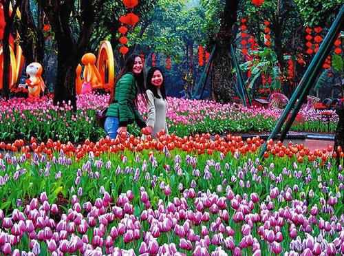 安徽财经大学考研资料大全_历年考研真题汇编+内部笔记+专业课推荐参考书目