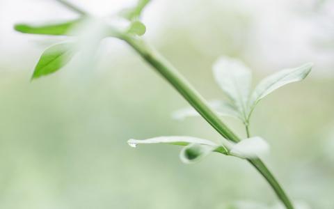 欢迎使用Z-BlogPHP！